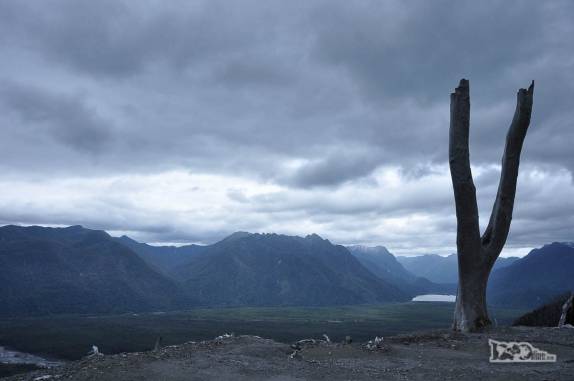 Os restos calcinados de antigas árvores gigantes no topo do vulcão Chaitén, no sul do Chile